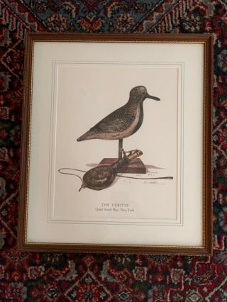 Htf Signed Black - Bellied Plover Milton C.  Weiler Decoys Shore Birds Veritys Gift