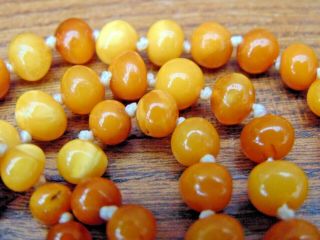 Antique Vintage Butterscotch Egg Yolk Amber Knotted Bead Necklace