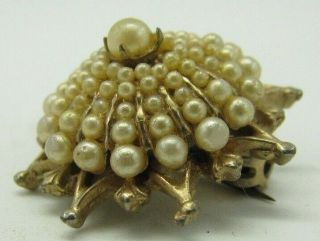 Vintage Petite Size Brooch Pin Gold Tone Faux Seed Pearls Cluster Star Victorian
