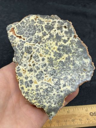 Large Cut/polished Unknown Stone Specimen - 492.  8 Grams - Vintage Estate Find