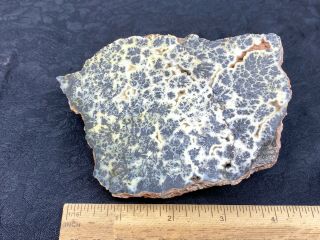 Large Cut/Polished Unknown Stone Specimen - 492.  8 Grams - Vintage Estate Find 2
