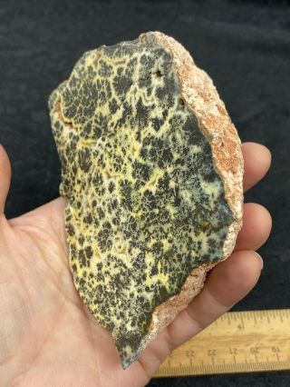 Large Cut/Polished Unknown Stone Specimen - 492.  8 Grams - Vintage Estate Find 3
