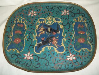 Antique Chinese Enamel On Brass Cloisonne Tray Fighting Birds 9 7/8 " By 11 7/8 "