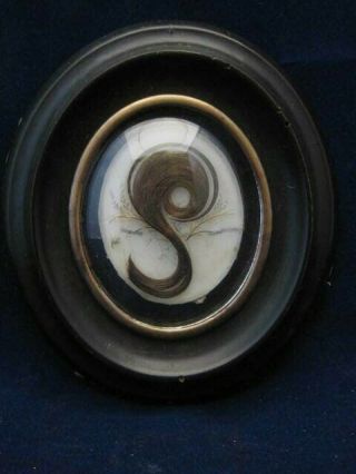 Antique Victorian Mourning Hair Art In Curved Glass Frame Memento Mori