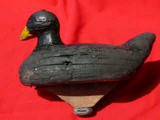 19th Century Primitive Hand Carved Wood Duck Decoy Coot W Large Keel
