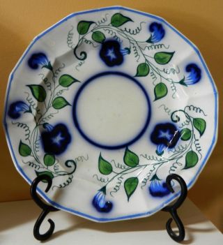 Gorgeous 9 " 19th C Gaudy Flow Blue Morning Glory Plate