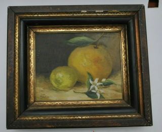 Antique Oil Painting Still Life Fruit Framed Signed Maria Zeitlmann