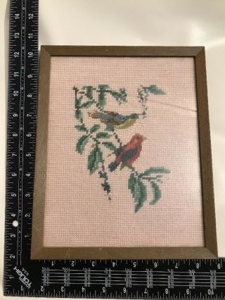 Vintage Needlepoint Picture Of Two Birds 8“ X 10“ Framed