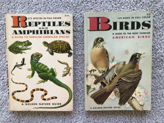 Vintage A Golden Nature Guide Book American Birds And Reptiles Set Of 2