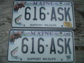 Maine Support Wildlife Expired License Pair Moose Fish Katahdin