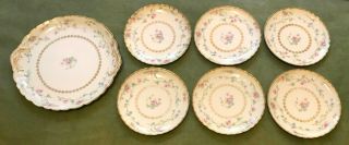 7 Antique Limoges H&c France Haviland Porcelain 6 Plates & One Platter