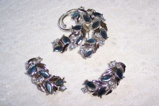Vintage Sarah Coventry Blue Champagne Brooch And Earring Set
