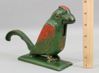 19thc Antique Painted Cast Iron Figural Parrot Nutcracker,
