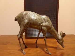 Vintage Brass Deer Figure; Doe Grazing; 10 " Long X 9 " Tall