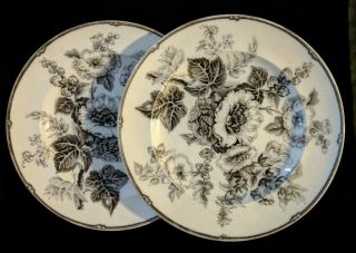 2 Antique Wedgwood Pearl Hollyhock 10 3/8 " Dinner Plates Pearlware England