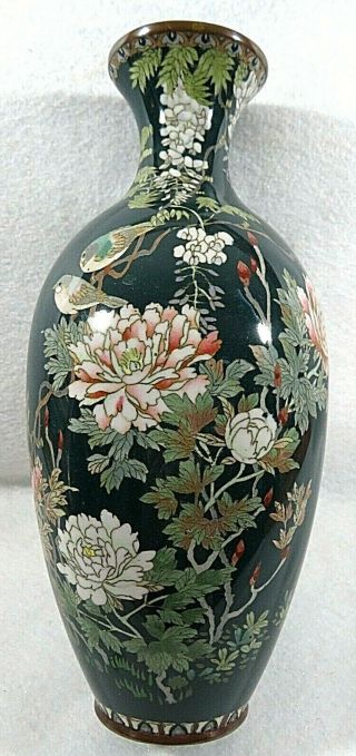 Vintage Chinese Cloisonné Vase With Peonies,  Birds,  And Mums On Hunter Green