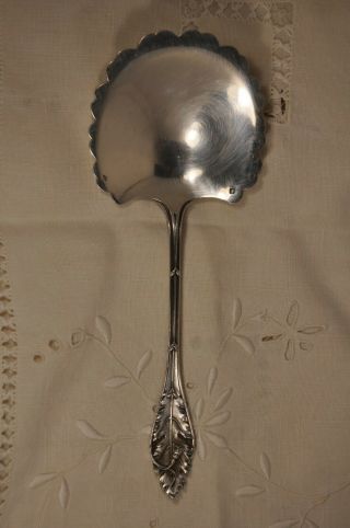 Cuillere A Fraises Ancien Argent Massif Antique Art Nouveau Solid Silver Spoon