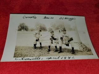 1942 Snapshot Photo Yankees Joe Dimaggio / Gomez / Crosetti From Jacksonville Fl