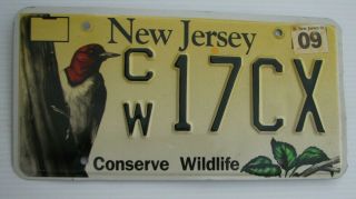 Jersey Conserve Wildlife License Plate " Cw 17 Cx " Nj Woodpecker Bird
