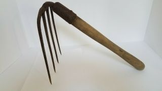 Clam / Quahog Digger / Rake,  Shell Fish,  Vintage Tool,  Antique Fork,  Folk Art