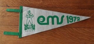 1972 Pcl Eugene Emeralds Minor League Baseball Pennant Pacific Coast League