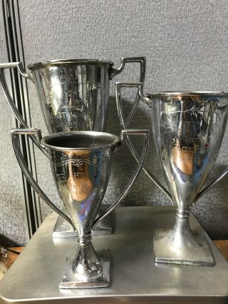 3 B.  F.  C.  Loving Cup Awards Best Of Show 1931 Trailing 1927 All Age Bench 1930