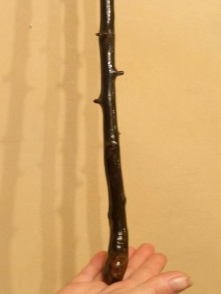Antique Irish Shillelagh Blackthorn Walking Stick Cane 35.  5”