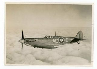 Photograph Of Supermarine Seafire Mk Ib Ac - C - 736 Nas - Hms Vulture 1947