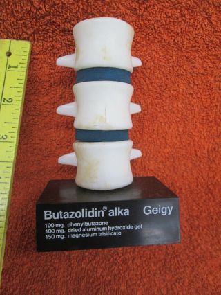 Vtg 3d Anatomical Model Of Human Spine Geigy Butazolidin Alka Salesmens Sample