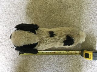 Antique Stuffed Dog.  Most likely a Farnell. 2