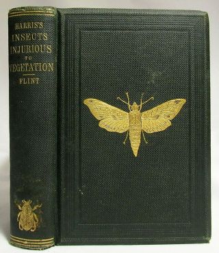 Antique 1862 Injurious Insects Natural History Hand Colored Plates Entomology