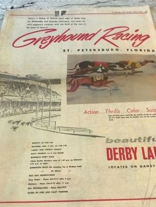 Dog Racing Mecca=derby Lane - Greyhound Racing - St.  Petersburg - Ad Of Florida 