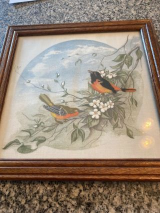 Vintage Embroidery Finished And Framed Birds 12.  5”x12.  5”