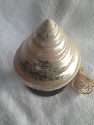 Unusual Vintage Hand Painted Mother of Pearl Sea Shell Lamp 2