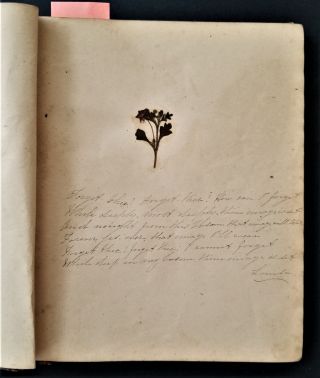 1864 Antique Scrapbook Autograph Album Handwritten Poetry Pressed Dried Flowers
