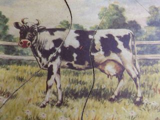 Primitive Vintage J H Miller Mfg Co Quincy Il Cow Puzzle Ruth & Gladys Dudley
