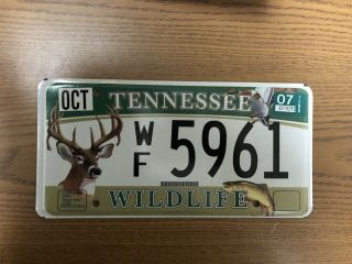 Tennesse License Plate - Wildlife - “ Wf 5961”