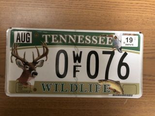 Tennesse License Plate - Wildlife - “0 Wf 076”
