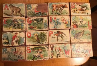 Victorian Antique 16 Children’s Toy Wooden Blocks Alphabet Rabbits Bunnies Back