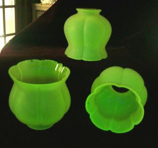 Set Of 3 Antique Vintage Vaseline Glass Electric Lamp Tulip Light Shade