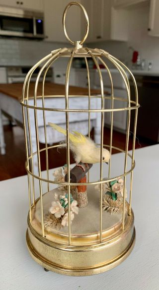 Vintage Music Box Bird Cage Plays Oh What A Morning