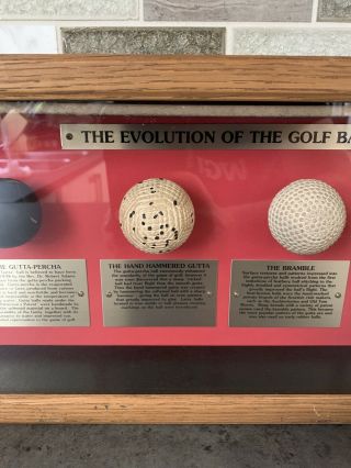 The Evolution of The Golf Ball Classic Craftsman Vintage Art 2