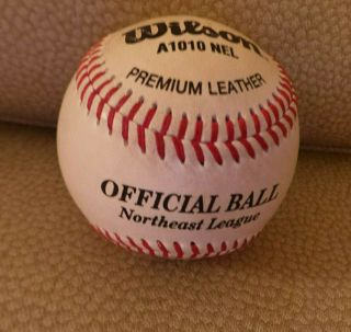 Official Ball Northeast League Wilson Premium Leather A1010 Nel Signed Vg,
