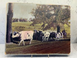 Vintage Oil Painting By R.  L.  Fitzgerald - Rural Landscape W/ Cows - Dated 1933