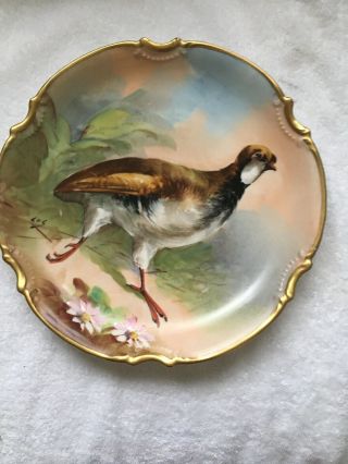 Antique French Hand Painted Game Bird Limoges Porcelain Plate Signed