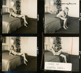 Bunny Yeager Vintage Contact Sheet Photograph Sexy Kathy Carr Boudoir Session 2