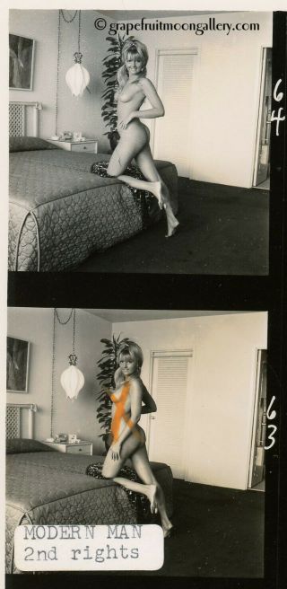 Bunny Yeager Vintage Contact Sheet Photograph Sexy Kathy Carr Boudoir Session 3