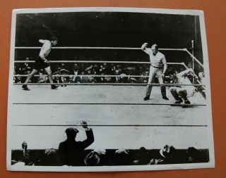 Vintage Boxing Photo: Jack Dempsey Vs Gene Tunney " Long Count "