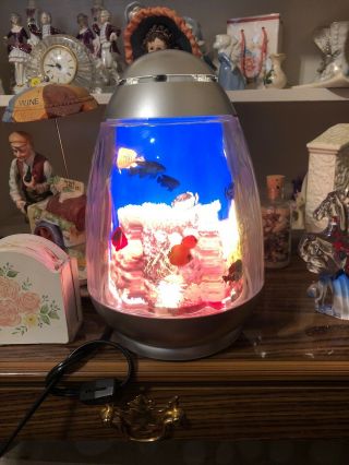 Vintage Rabbit Tanaka Motion Salt Water Fish Aquarium Ocean 3d Lamp 2002