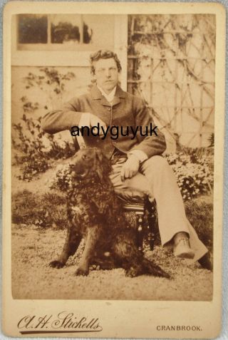 Cabinet Card Flat Coated Retriever Dog Cranbrook Antique Photo Kent